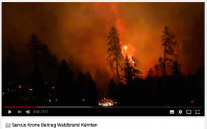 Waldbrand Kärnten
